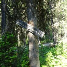 Glenn - Bear Trail Sign