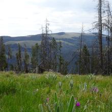 View towards Granite Butte (W7M/CL-085) from the summit