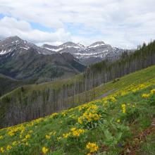 Nice views along the Deadman Hill Trail