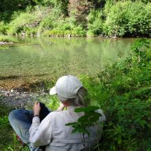 Nyack Creek Crossing