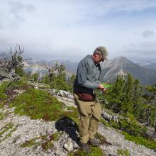 Picking up with a Rainbow