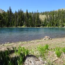 Pond below Caribou Peak