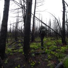 Final off-trail portion to summit