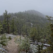 View of summit ridge from the South