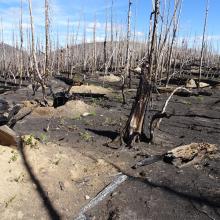 On the ridge - heading down