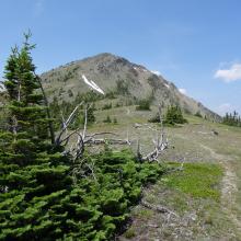 On the trail as it approaches the summit
