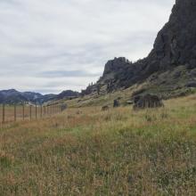 Along trail - Summit in background