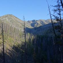 Looking up Straight Creek towards Rampart Mtn. Day-3