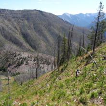 Ascending the east side of Rampart Mtn., looking down Straight Cr.