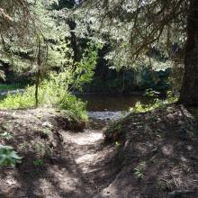 Jumbo Mountain Trail - Danaher Creek Crossing