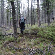 Typical terrain for the bushwack portion