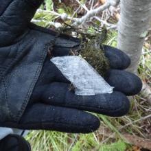 An interesting ice crystal that fell from the sky