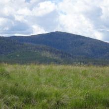 Black Mountain from the Lincoln valley