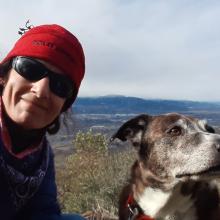 Edge of Ponderosa trail