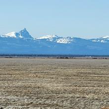 From Klamath Marsh