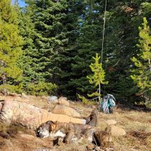 WB 2021-Doesn't look like winter!