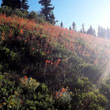 beside RD 20 near trailhead