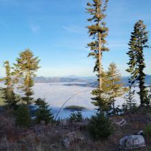 Coming down Cedar Flats Rd