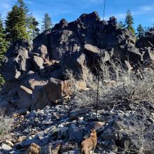 Robin and Maggie enjoying the sun