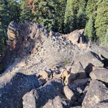 Looking down from top at Robin in area that I set up