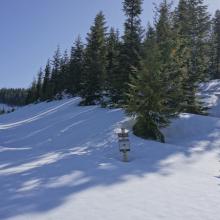 Still snow everywhere