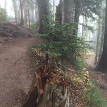 Trail leading to Euclid Lake