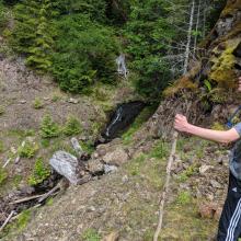 A pretty little waterfall.