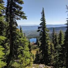 Picture of lake on Whiskey Creek
