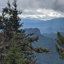 A view of Wolf Rock, a large steep-sided monolith, partially obscured by trees