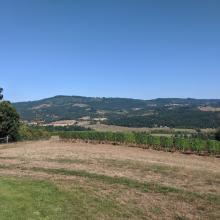 A view of what I can only assume is Bald Peak