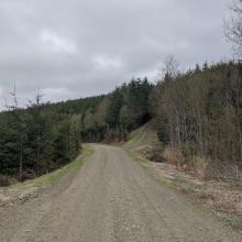 A view of the minor road at 45.8385, -123.4458