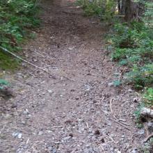 Steep Trail - the trail is not fading into the distance