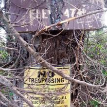 Buck Peak Summit - Sign Says "The area behind this sign is closed..."