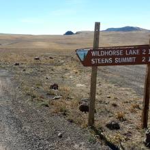 Steens Summit in the distance between the sign posts