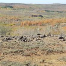 Fall colors along Steens Mountain Loop Road