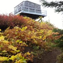 Devil's Peak Lookout