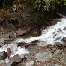 Creek to cross on Ira Spring Trail
