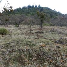 Roxy Ann Peak from just past the gate