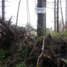 Don't ignore this sign