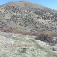 The faint trail in the foreground, Sam High Point in the center