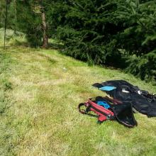 They mow the lawn here!