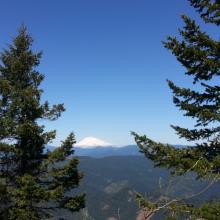 Mount Adams view