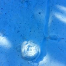 Pinwheel on Bennett Pass Road