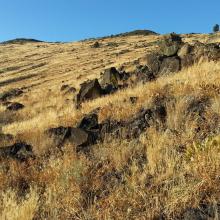Hogback Mountain on the ascent