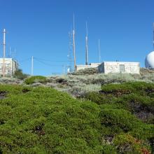 The summit of Hamaker Mountain