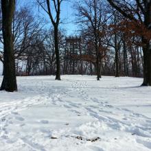 Blue Mounds east observation tower