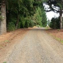 Possible activation location?