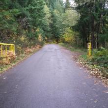 Center of three yellow gates