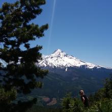 Mount Hood view from Lost Lake Butte summit