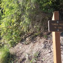 Tumble Ridge Trail (3380)